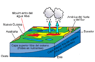La corriente del niño